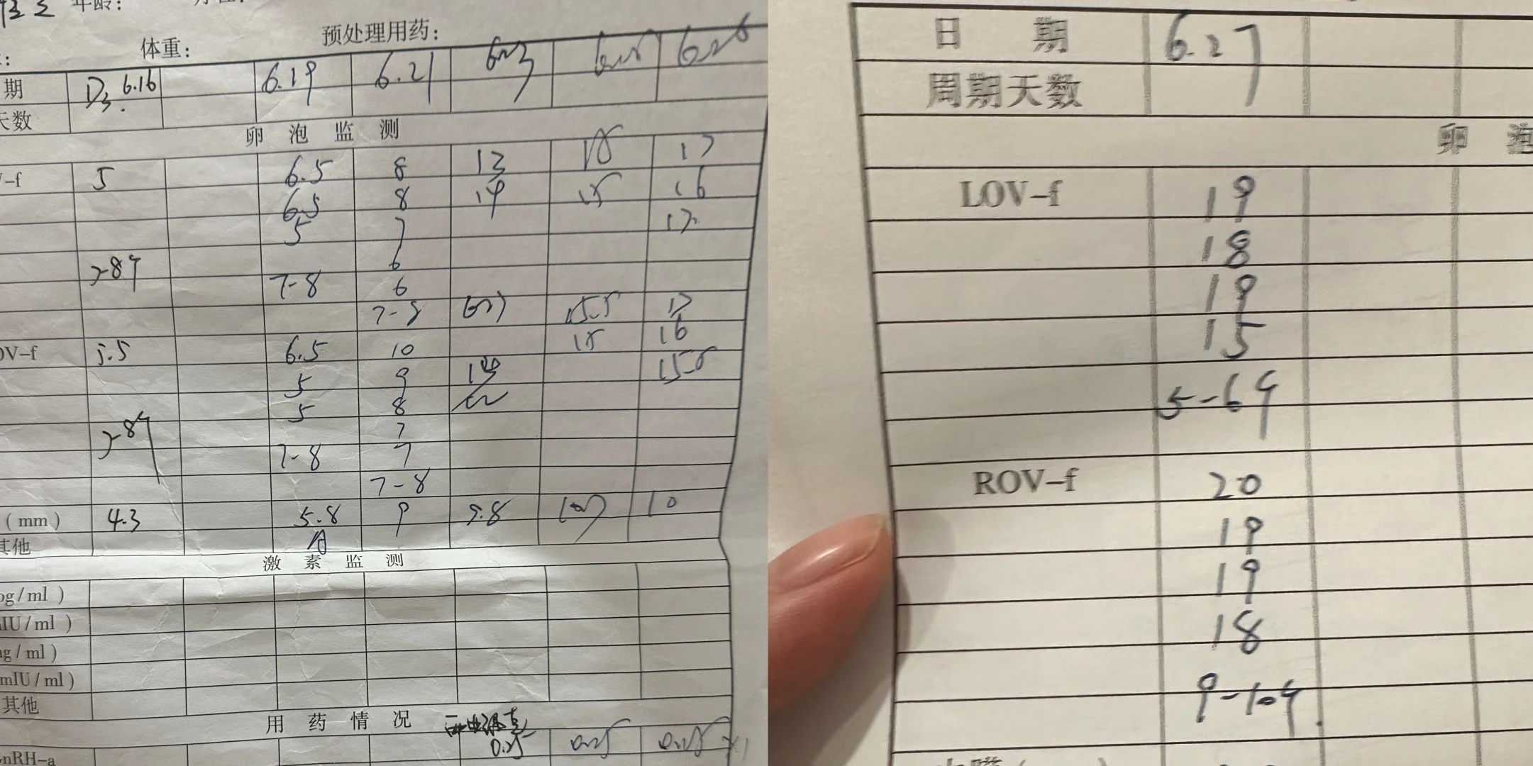 孕宝代生双胞胎成功率多高？是骗局套路还是真实力？